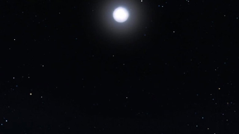 Longa Noite